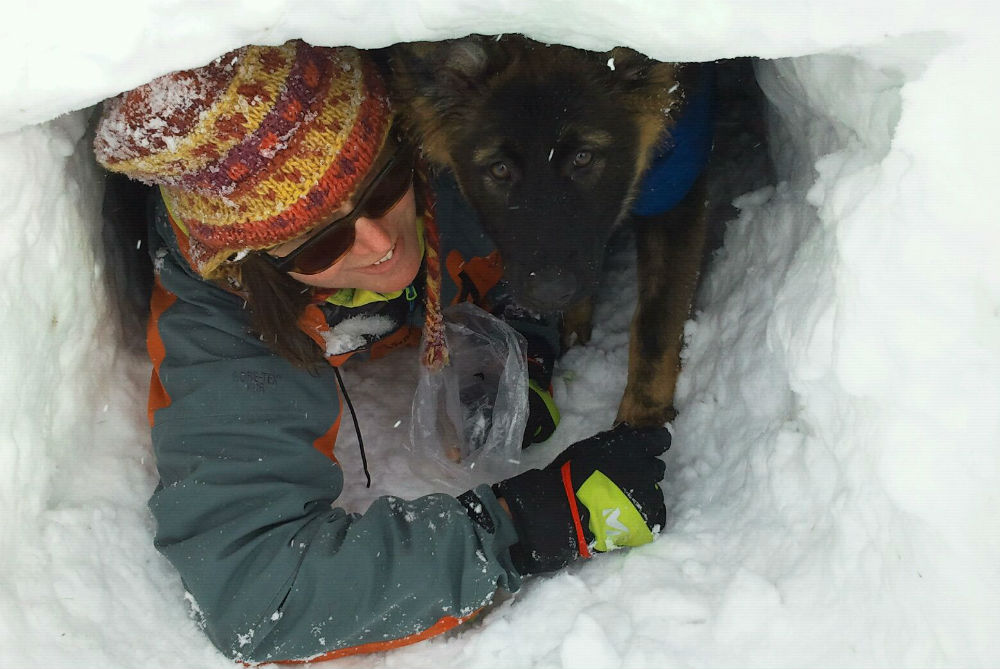  Lawinenhund bei der Arbeit - Lawinenschnupperkurs