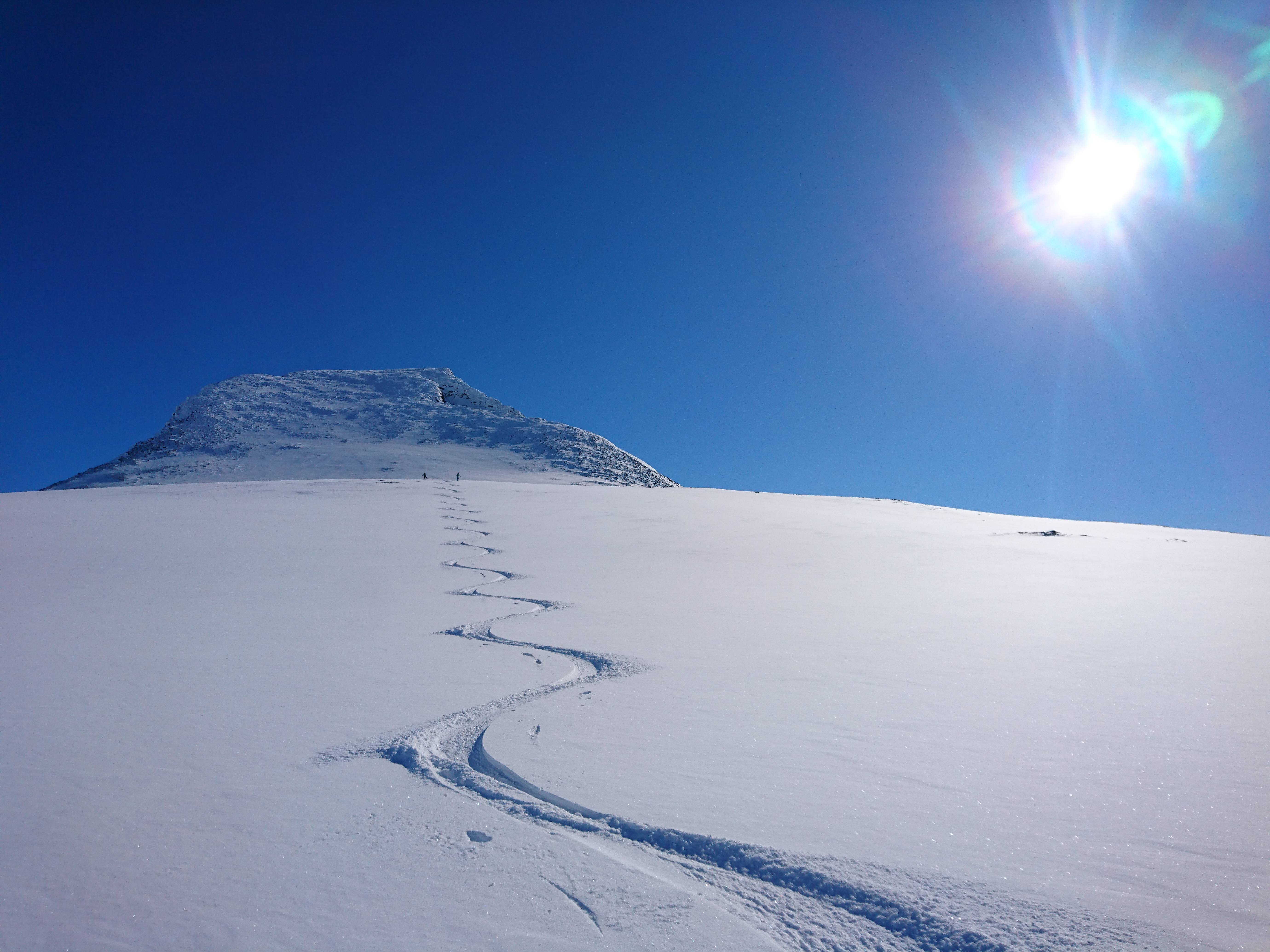 Skitouren Norwegen / Heliski Nordschweden