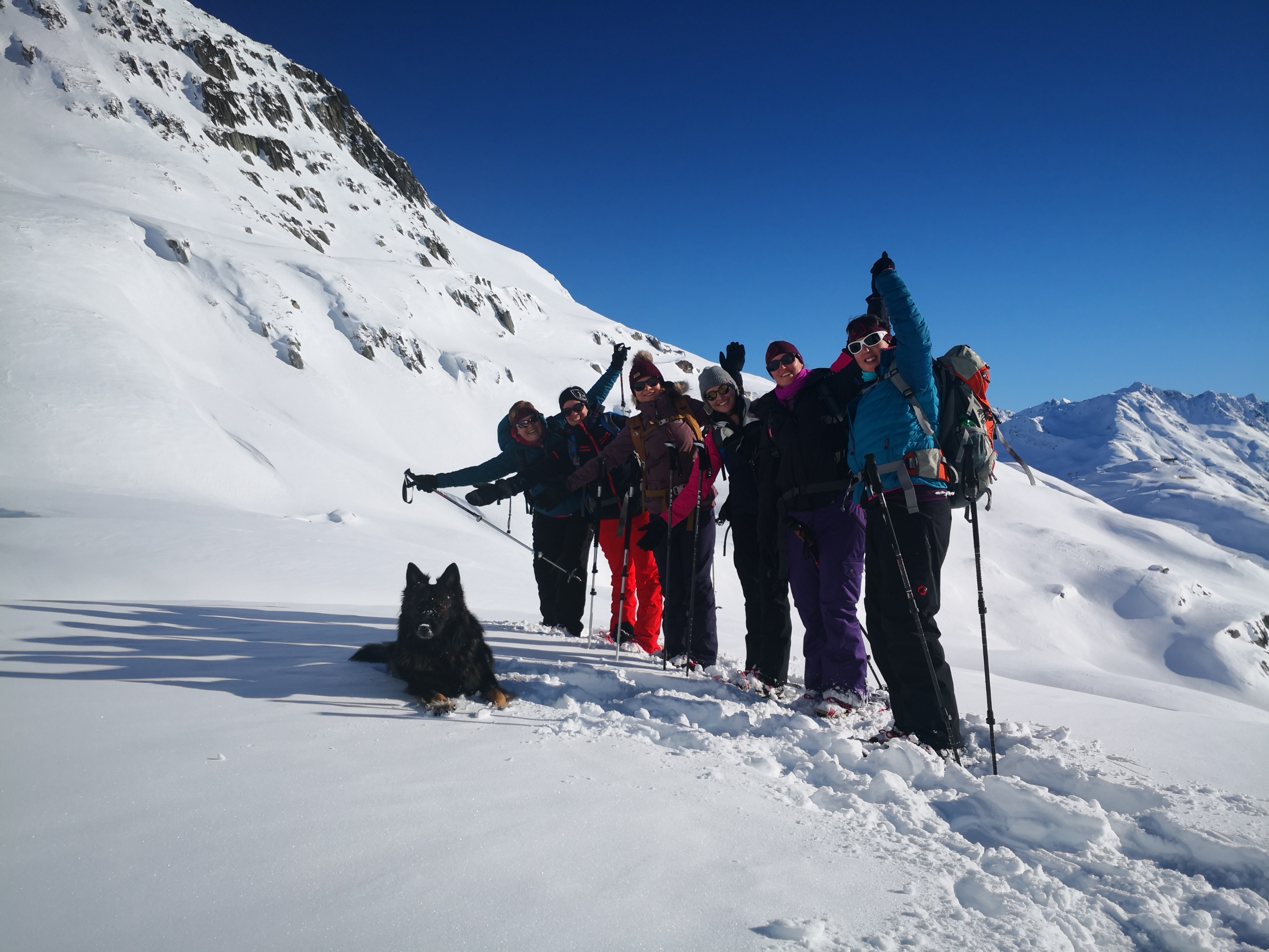  Schneeschuhtour mit Hund Berner Oberland