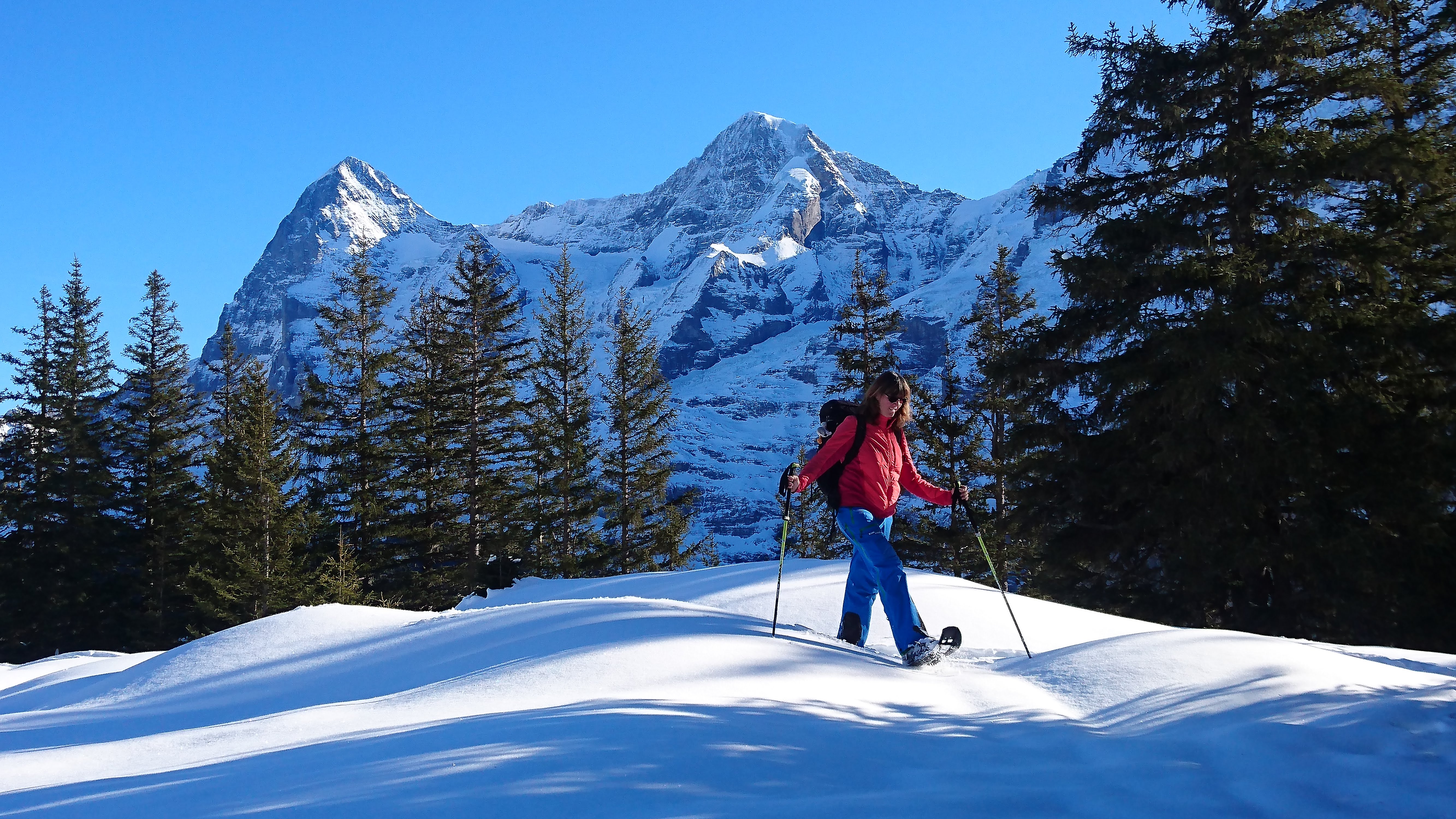  Schneeschuhtour mit Blick zu Eiger,Mönch und Jungfrau