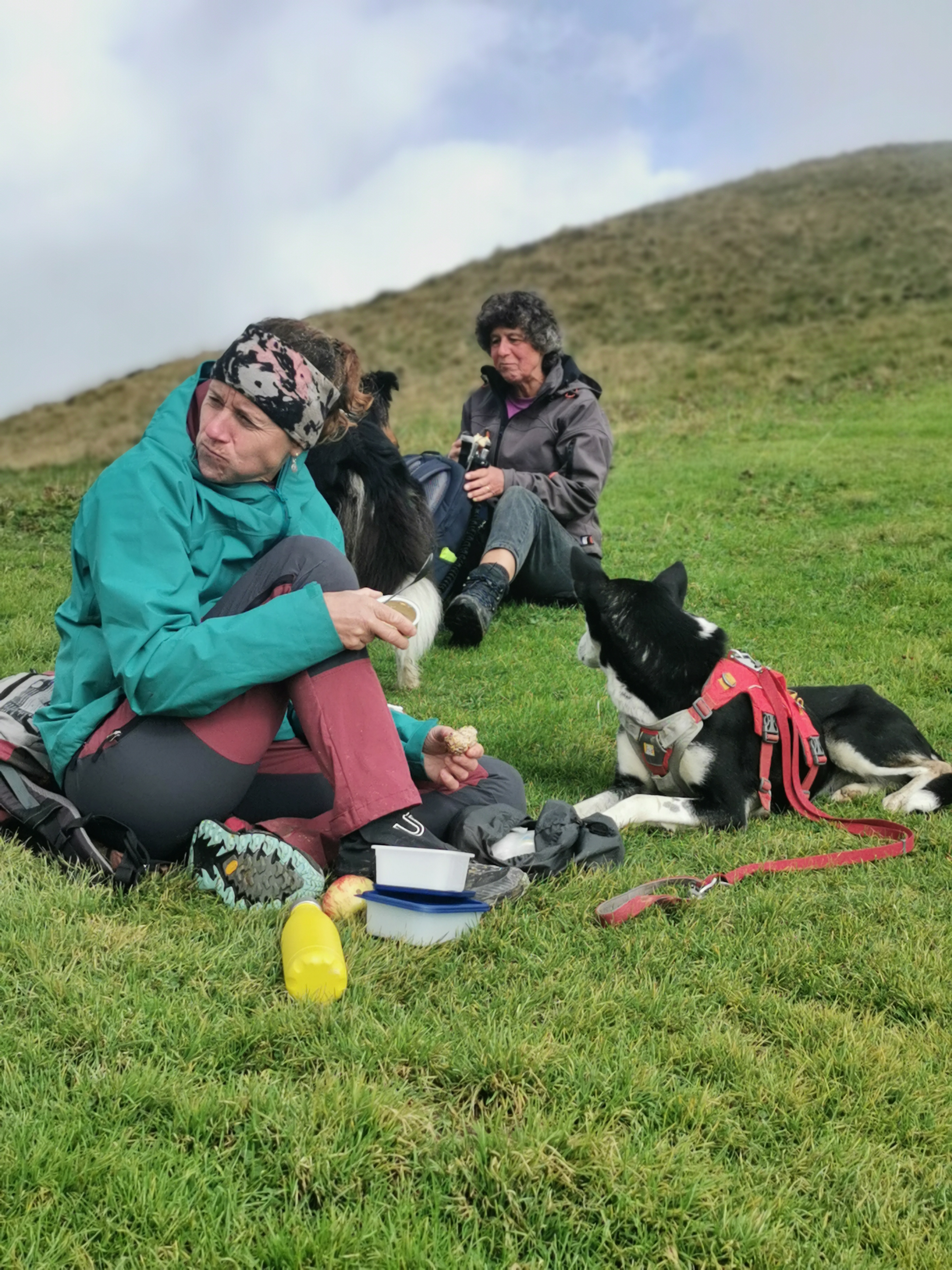  Wandern mit Hund - für Einsteiger