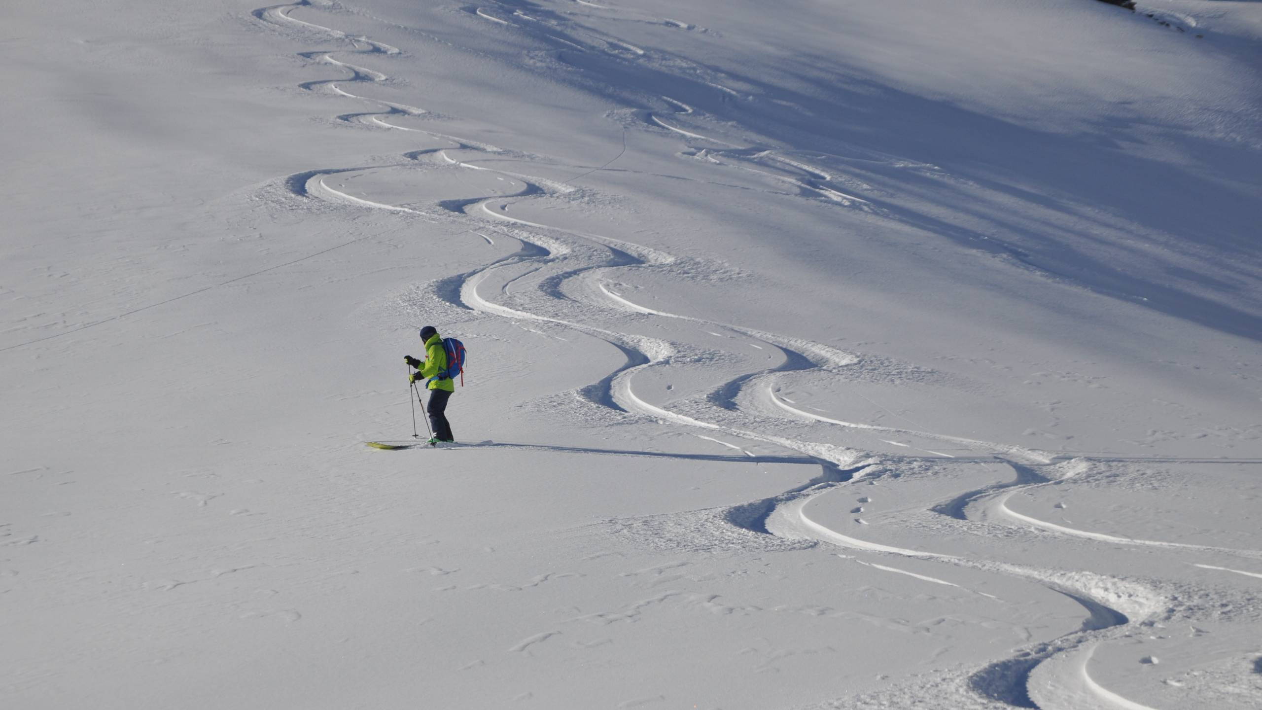 Alpinschule Bergfalke