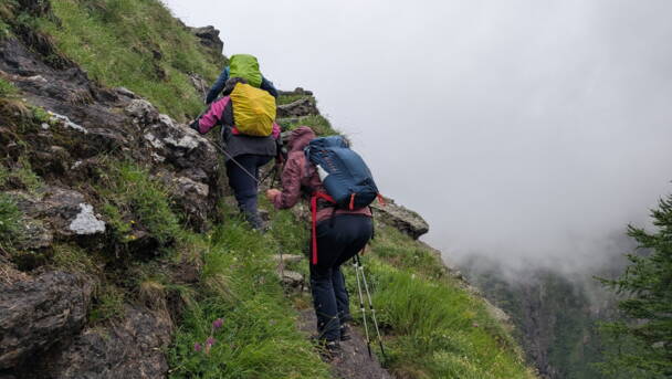 Alpinschule Bergfalke