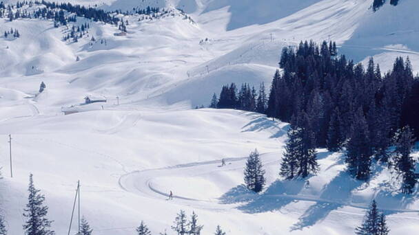 Alpinschule Bergfalke