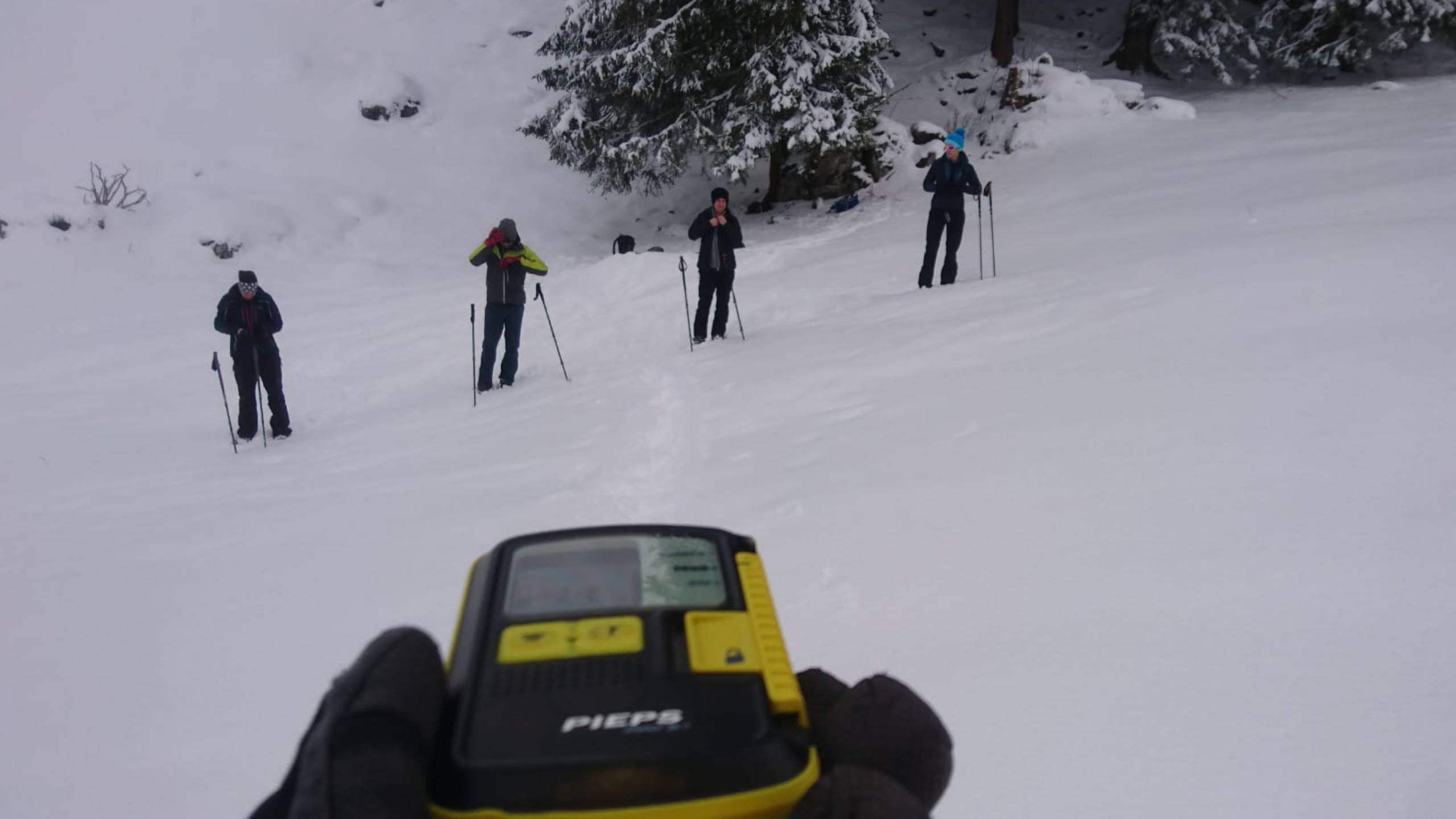 Alpinschule Bergfalke