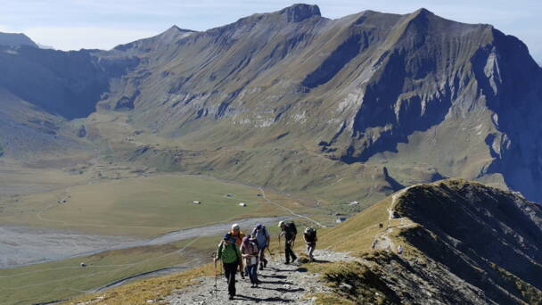 Alpinschule Bergfalke