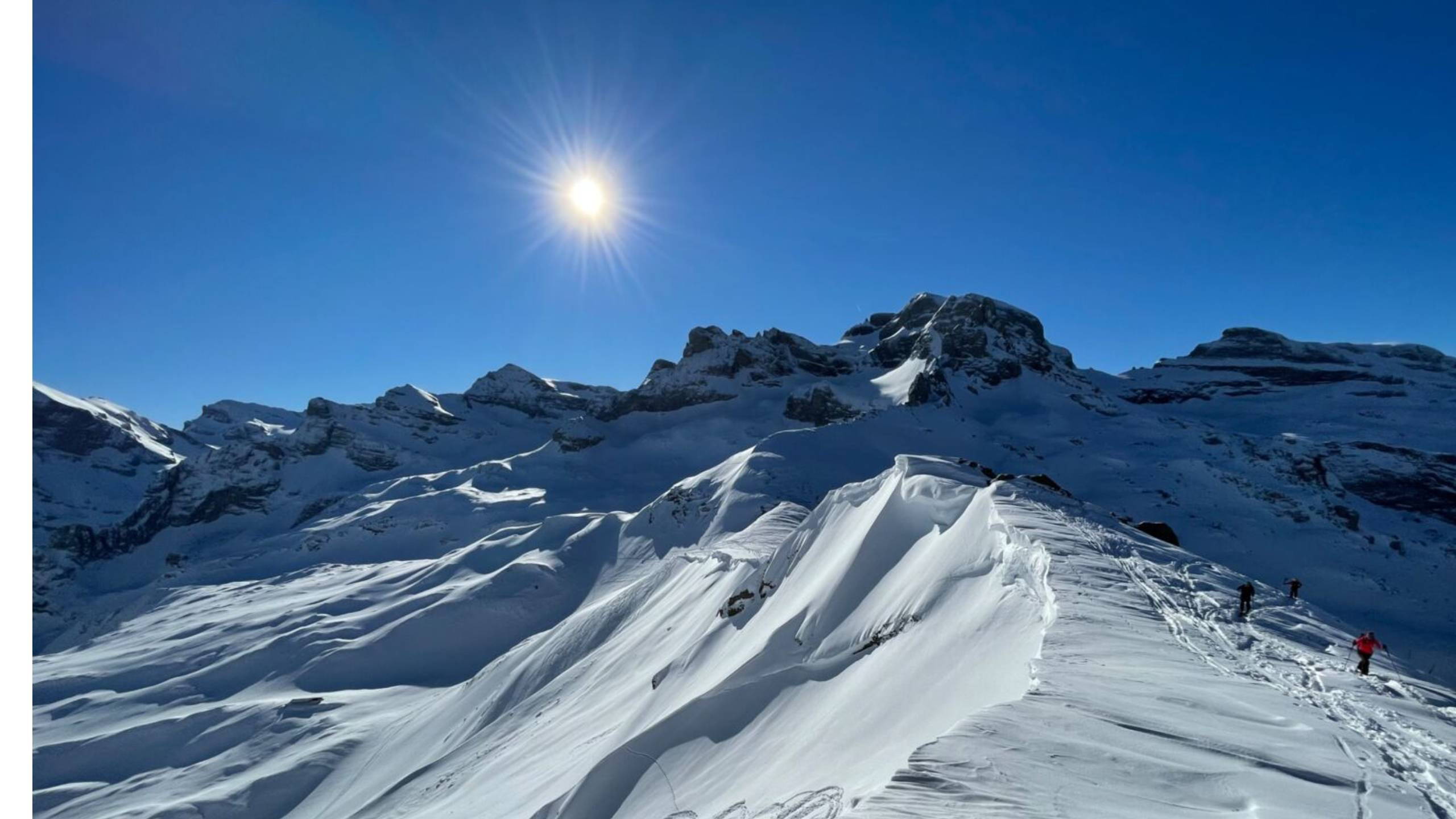 Alpinschule Bergfalke