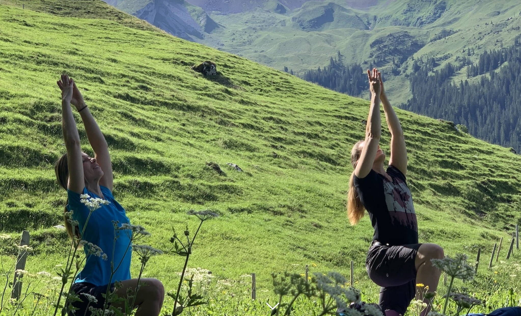 Alpinschule Bergfalke