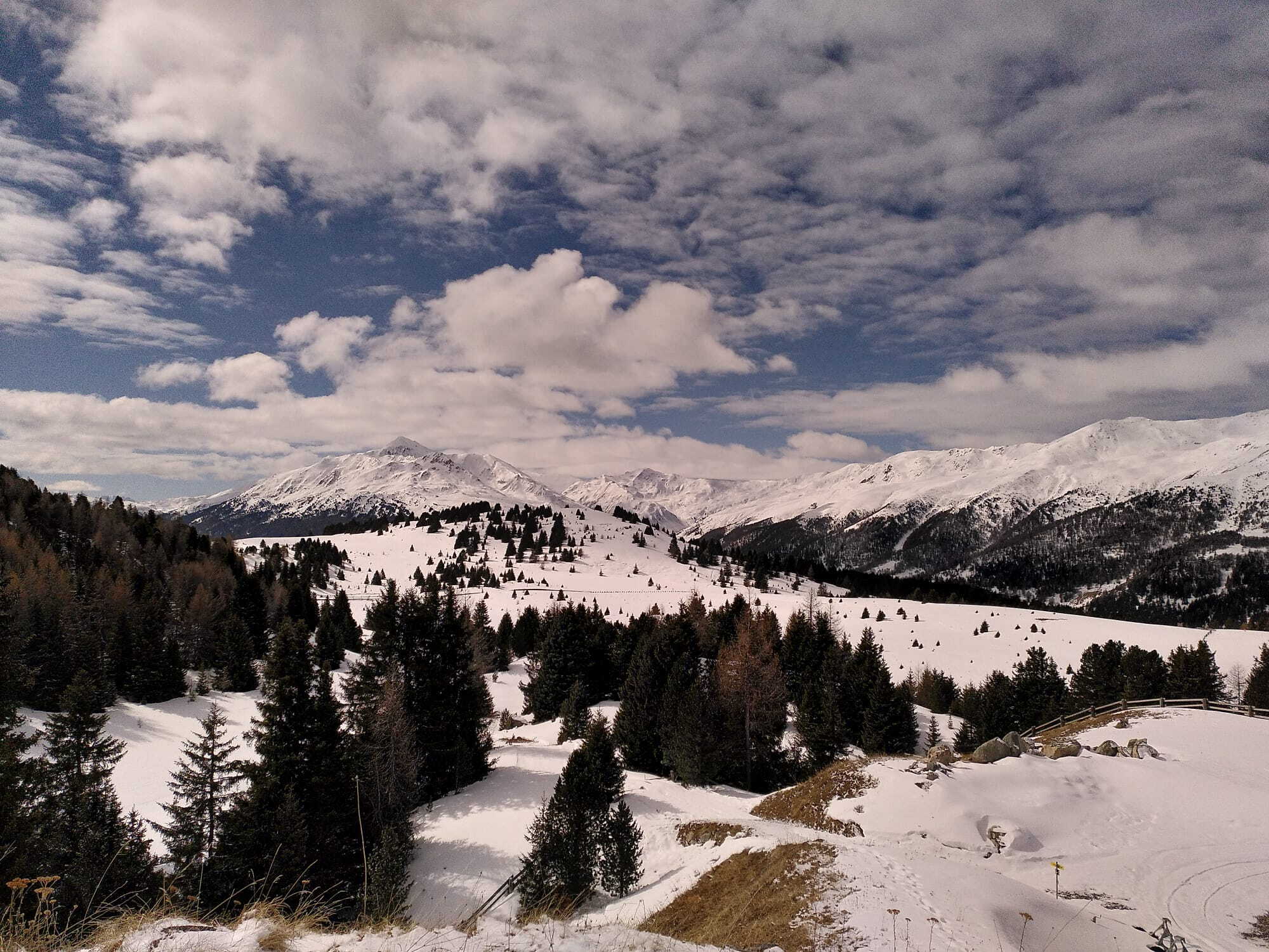 Alpinschule Bergfalke