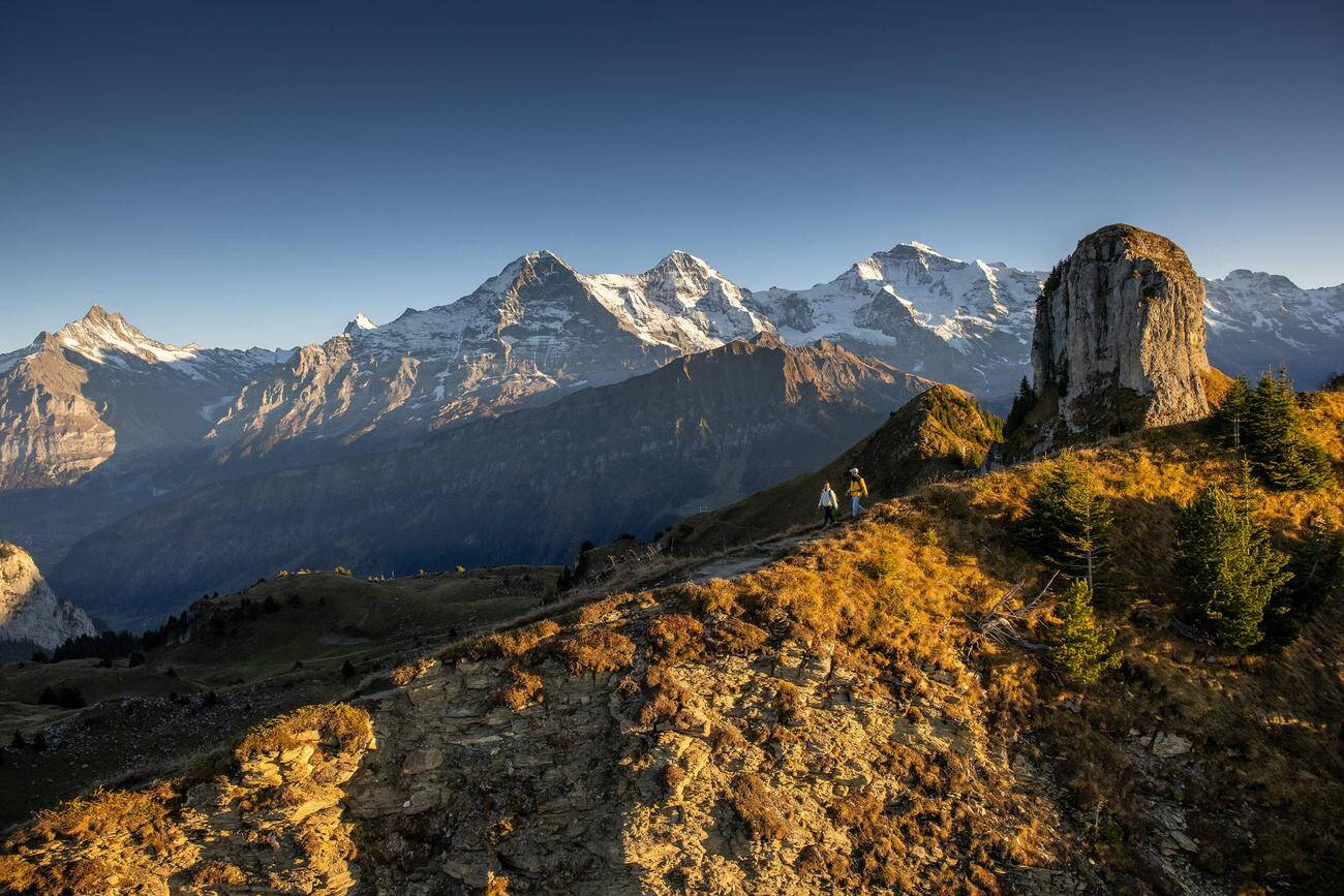 Alpinschule Bergfalke Alpinschule Bergfalke