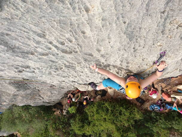 Alpinschule Bergfalke