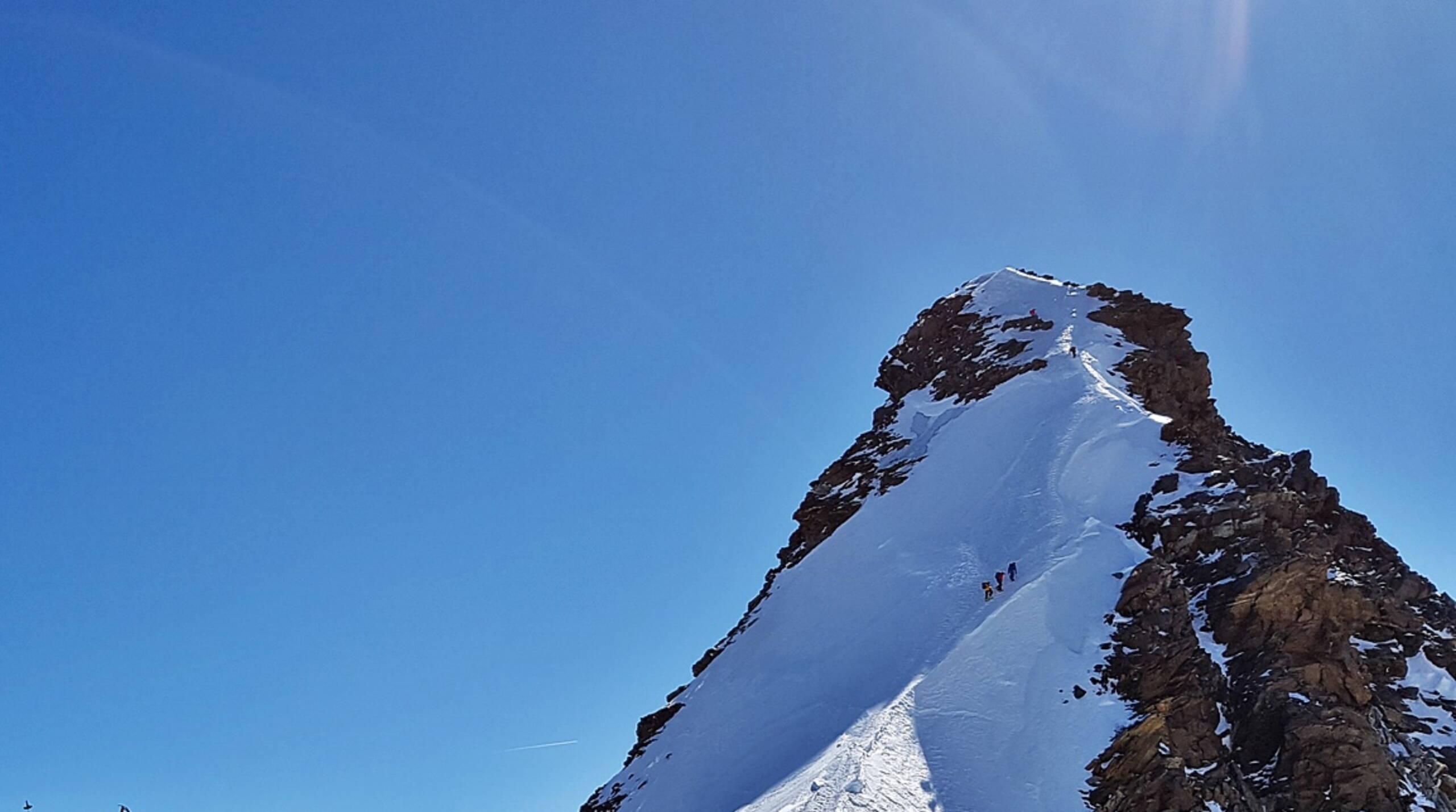Alpinschule Bergfalke
