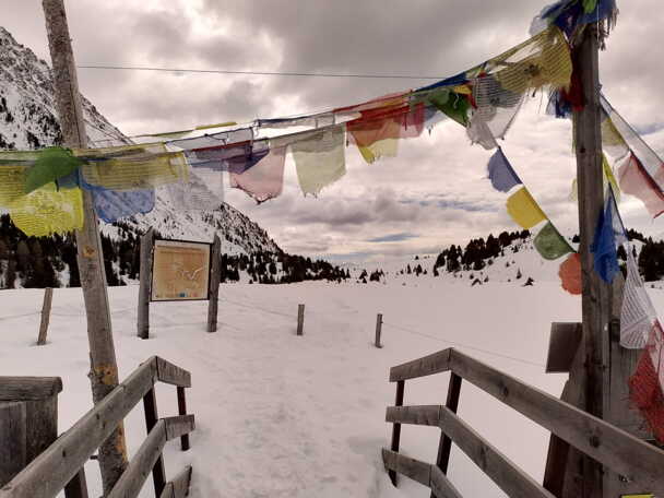 Alpinschule Bergfalke