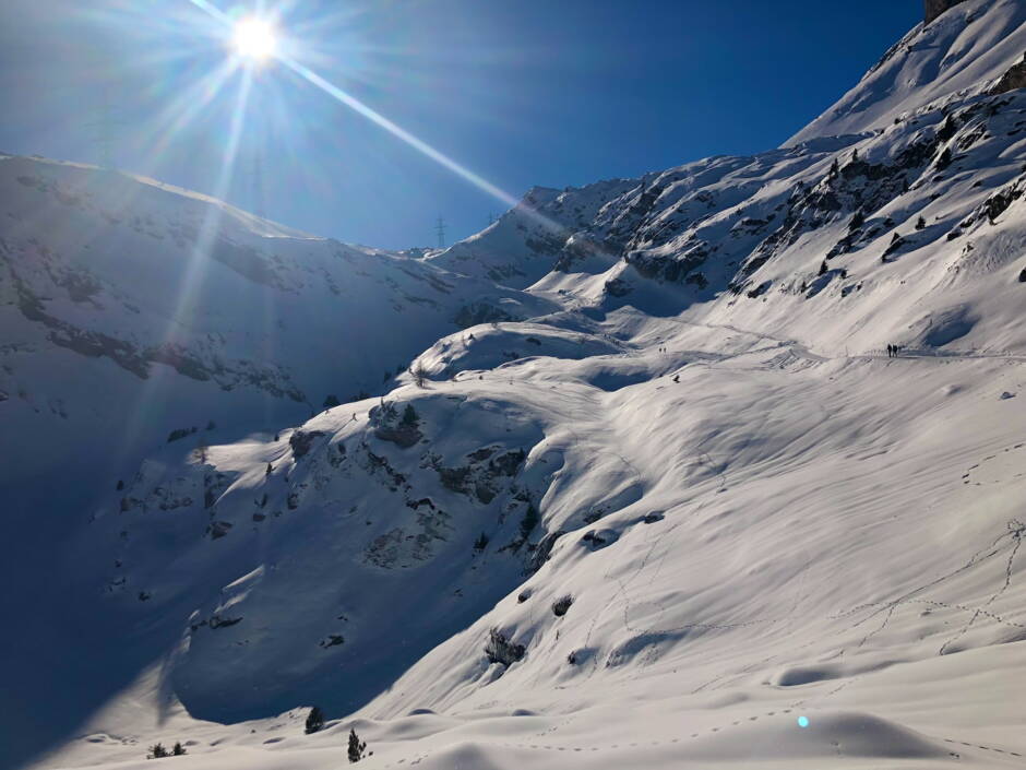 Alpinschule Bergfalke