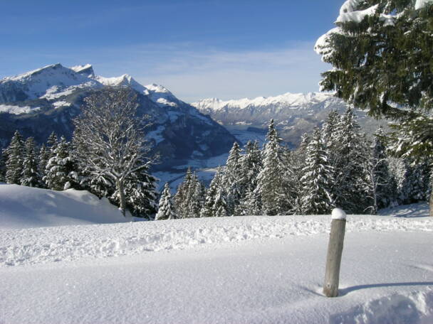 Alpinschule Bergfalke Alpinschule Bergfalke