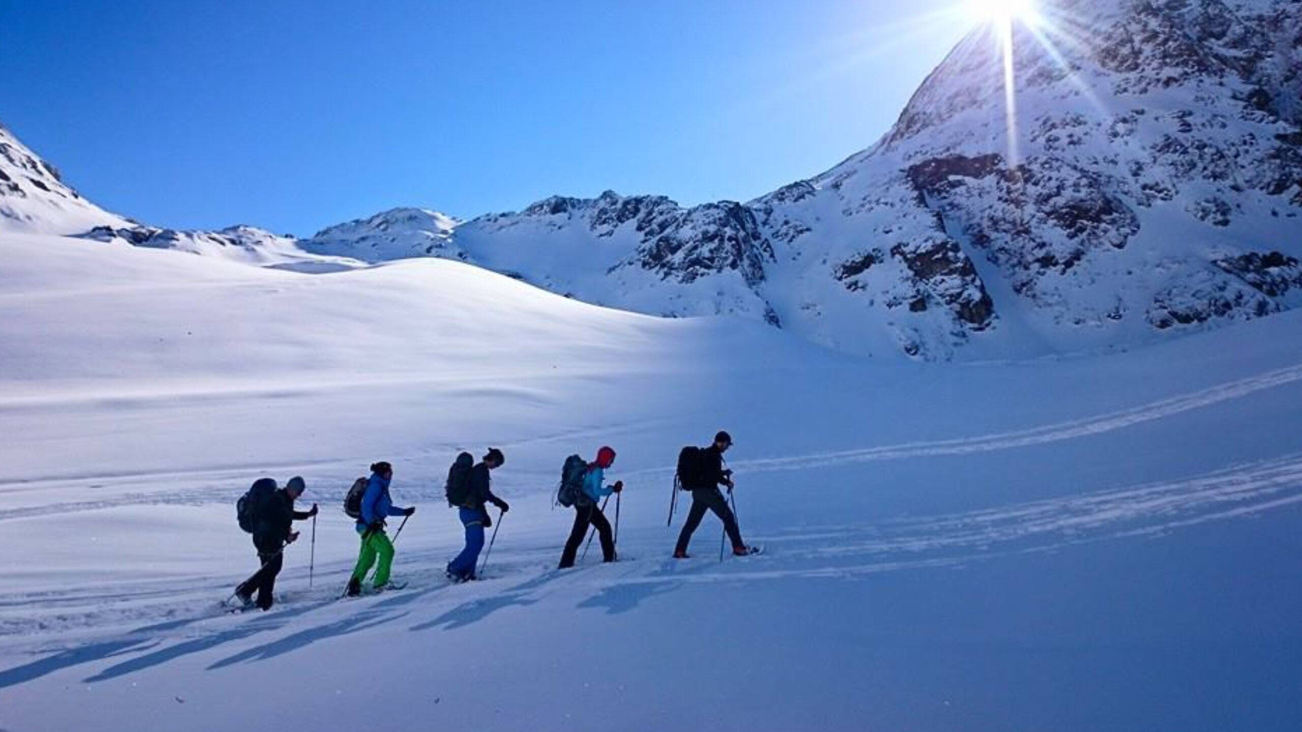 Alpinschule Bergfalke