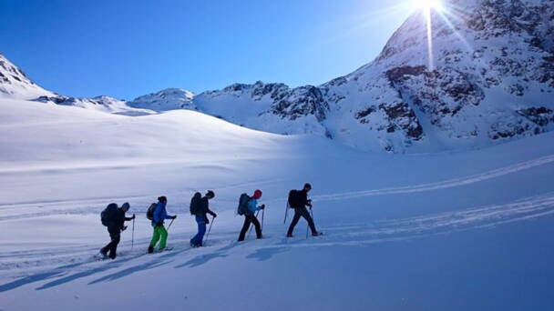 Alpinschule Bergfalke