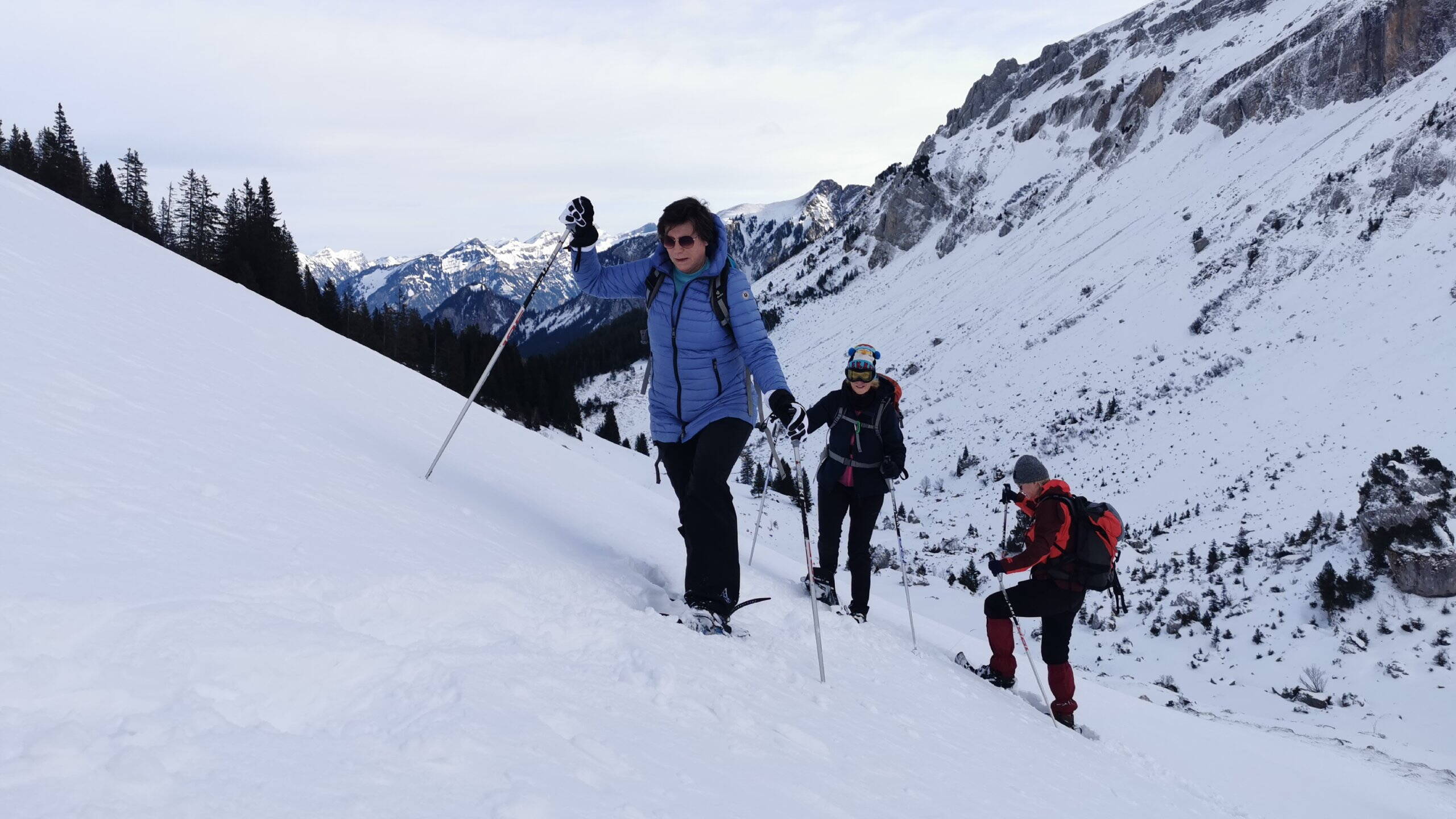 Alpinschule Bergfalke