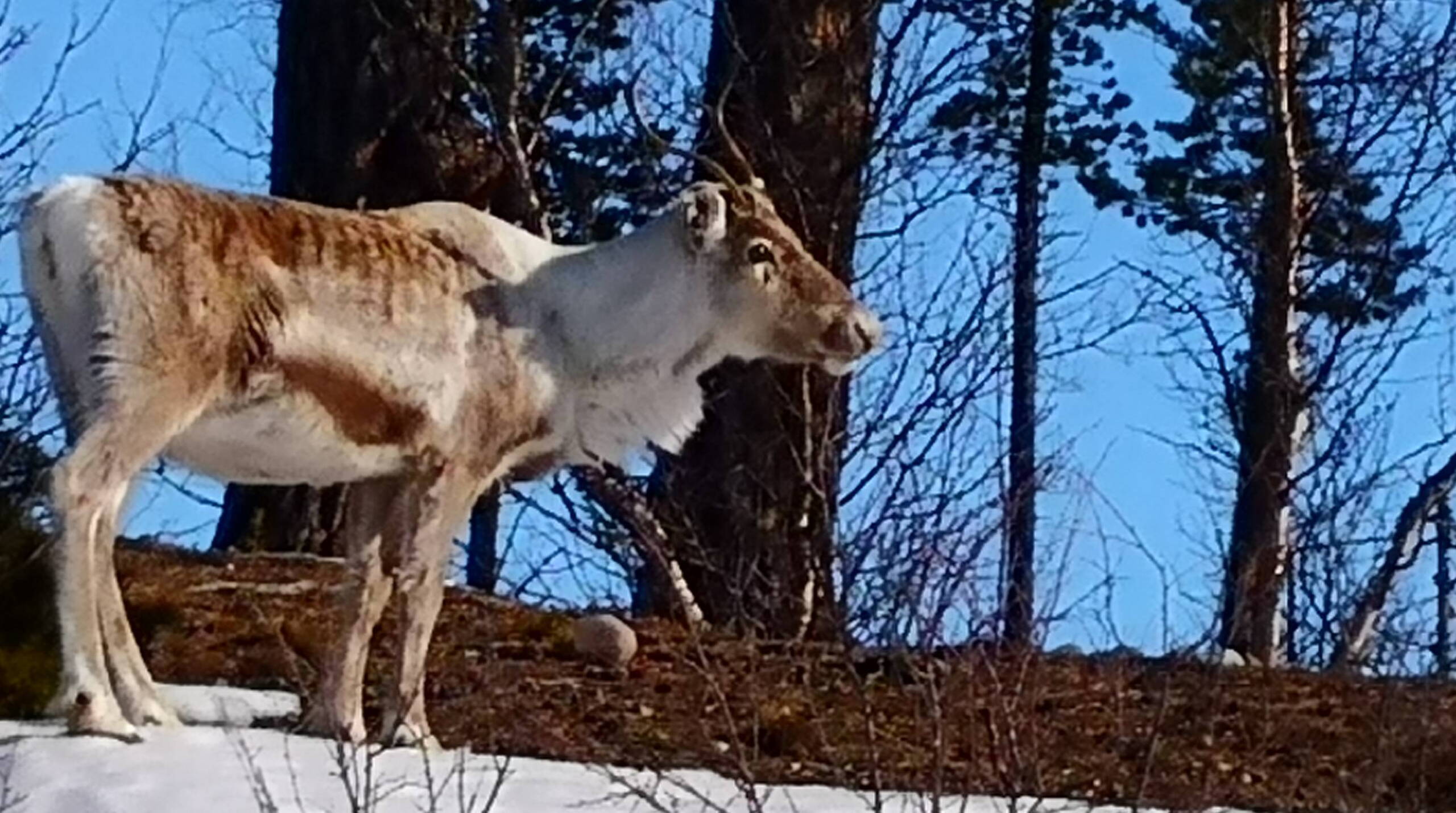 Alpinschule Bergfalke