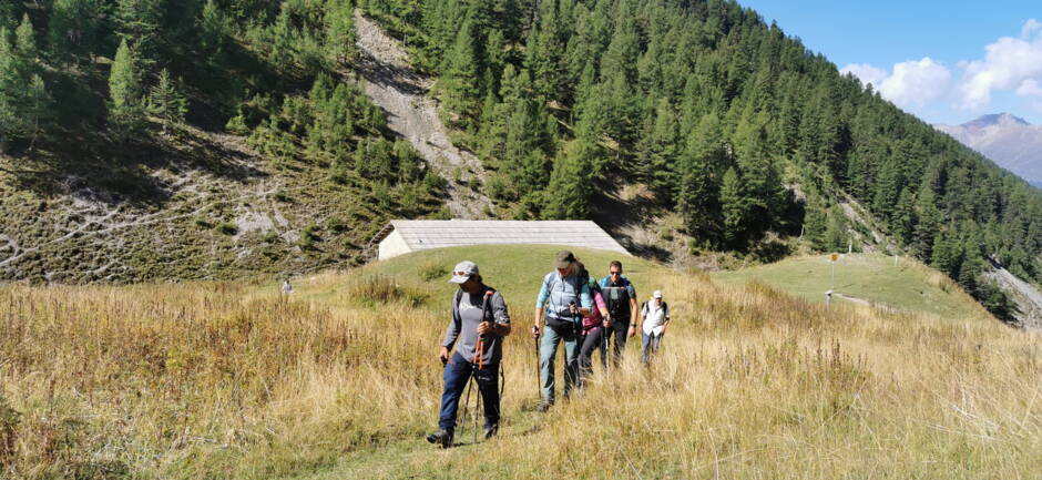Alpinschule Bergfalke Alpinschule Bergfalke