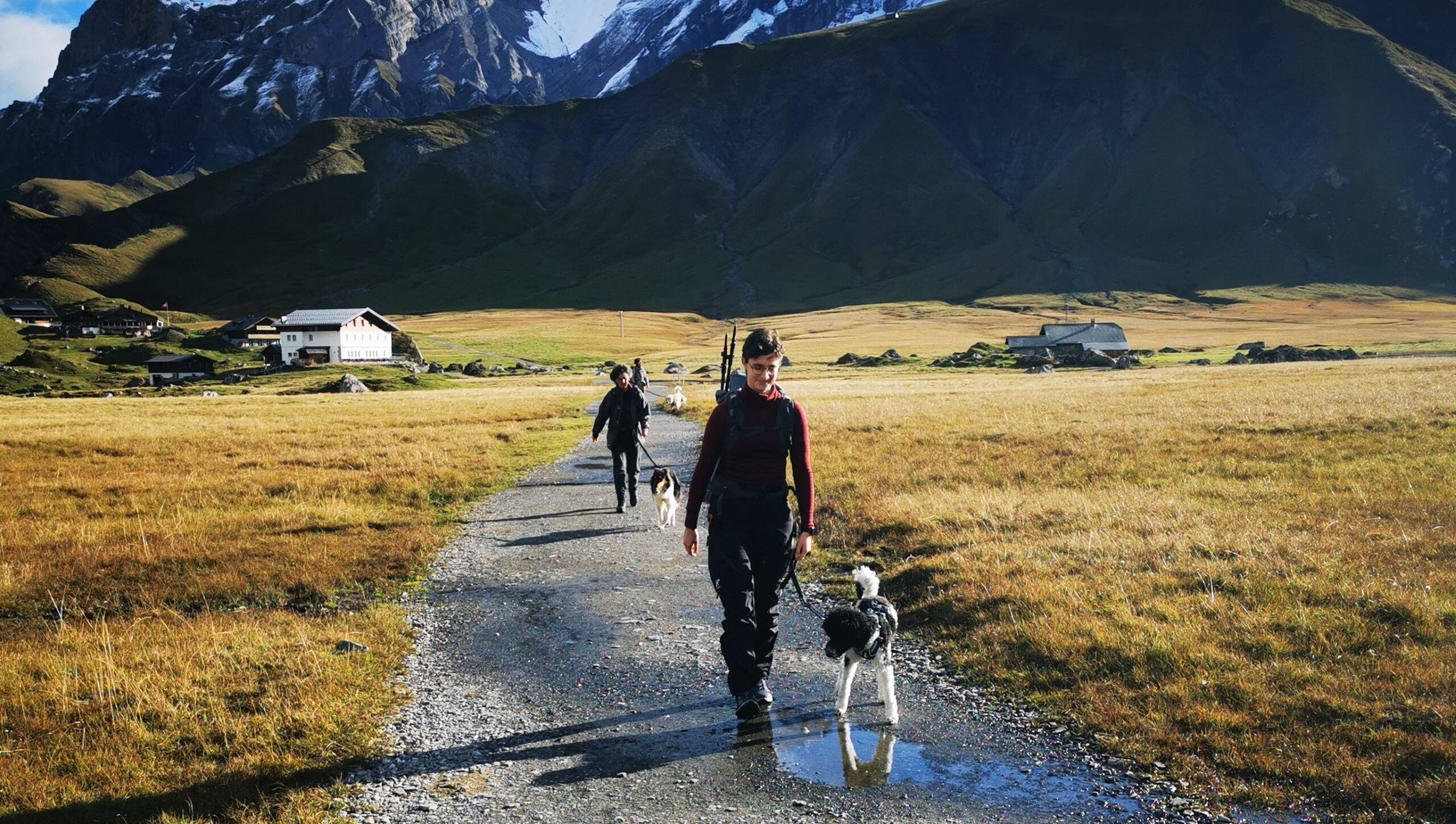 Alpinschule Bergfalke