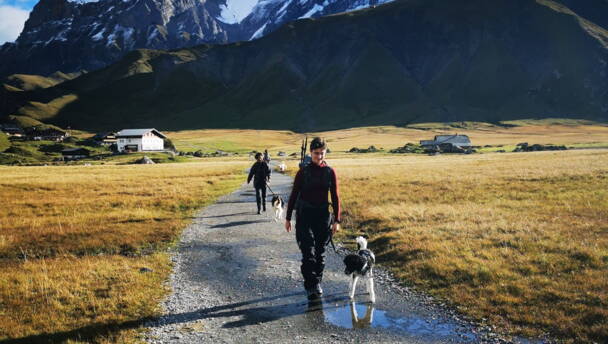 Alpinschule Bergfalke