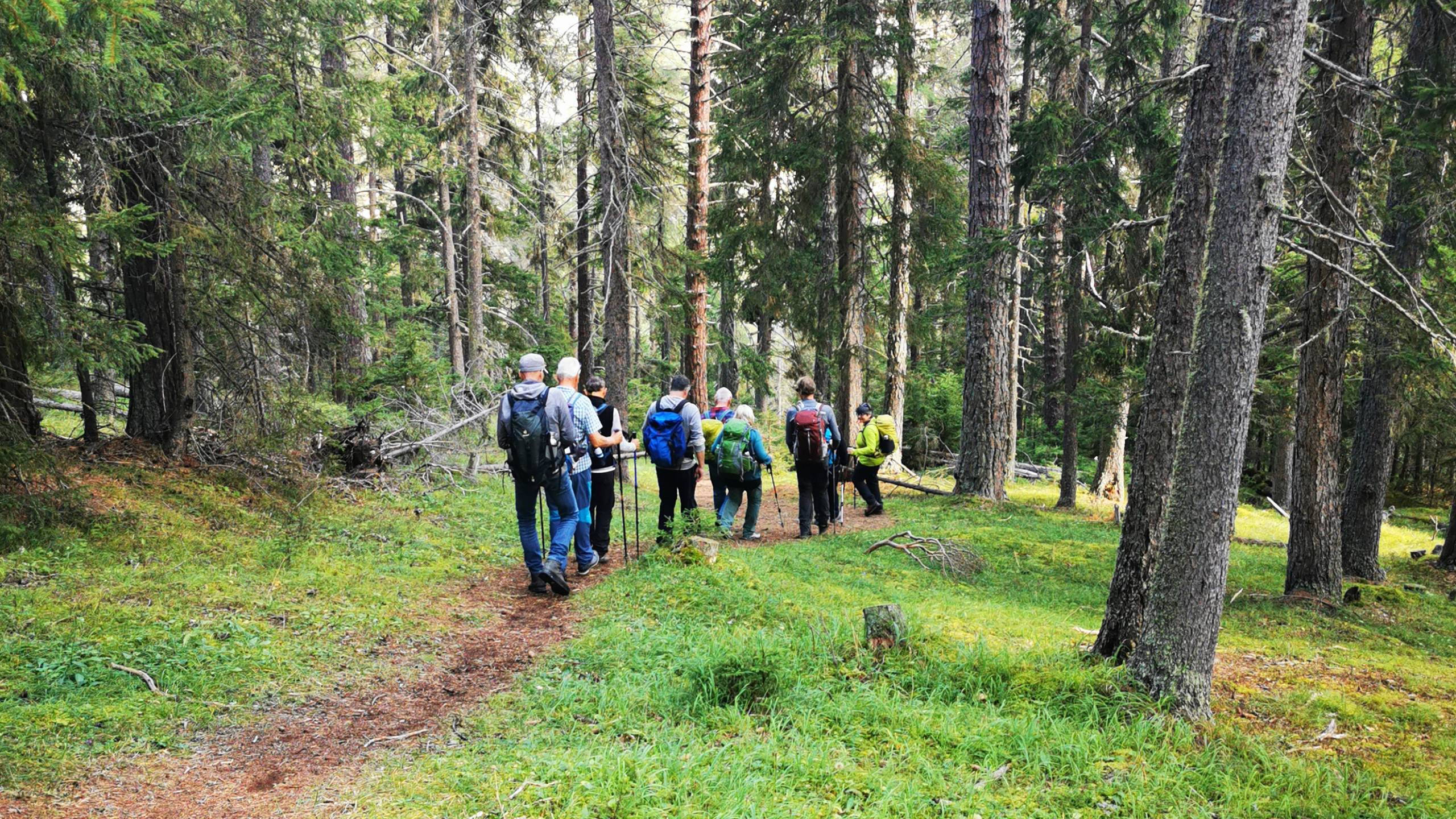 Alpinschule Bergfalke Alpinschule Bergfalke