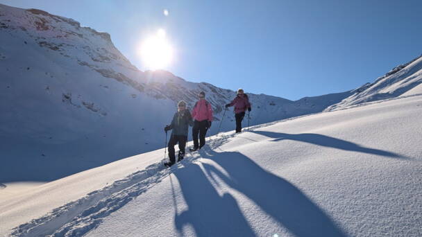 Alpinschule Bergfalke