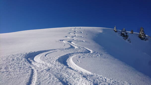 Alpinschule Bergfalke