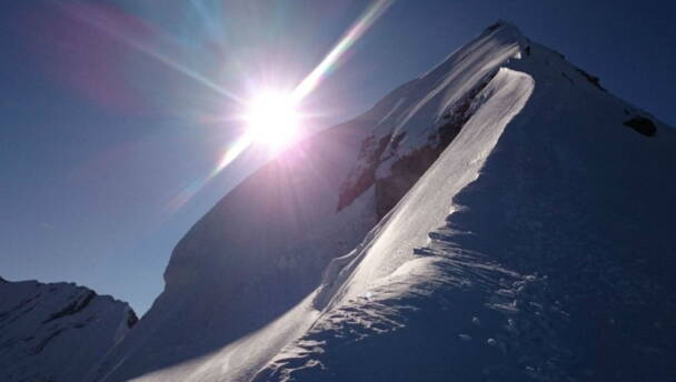 Alpinschule Bergfalke