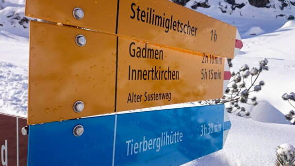 Alpinschule Bergfalke