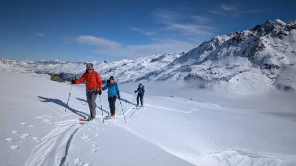Alpinschule Bergfalke