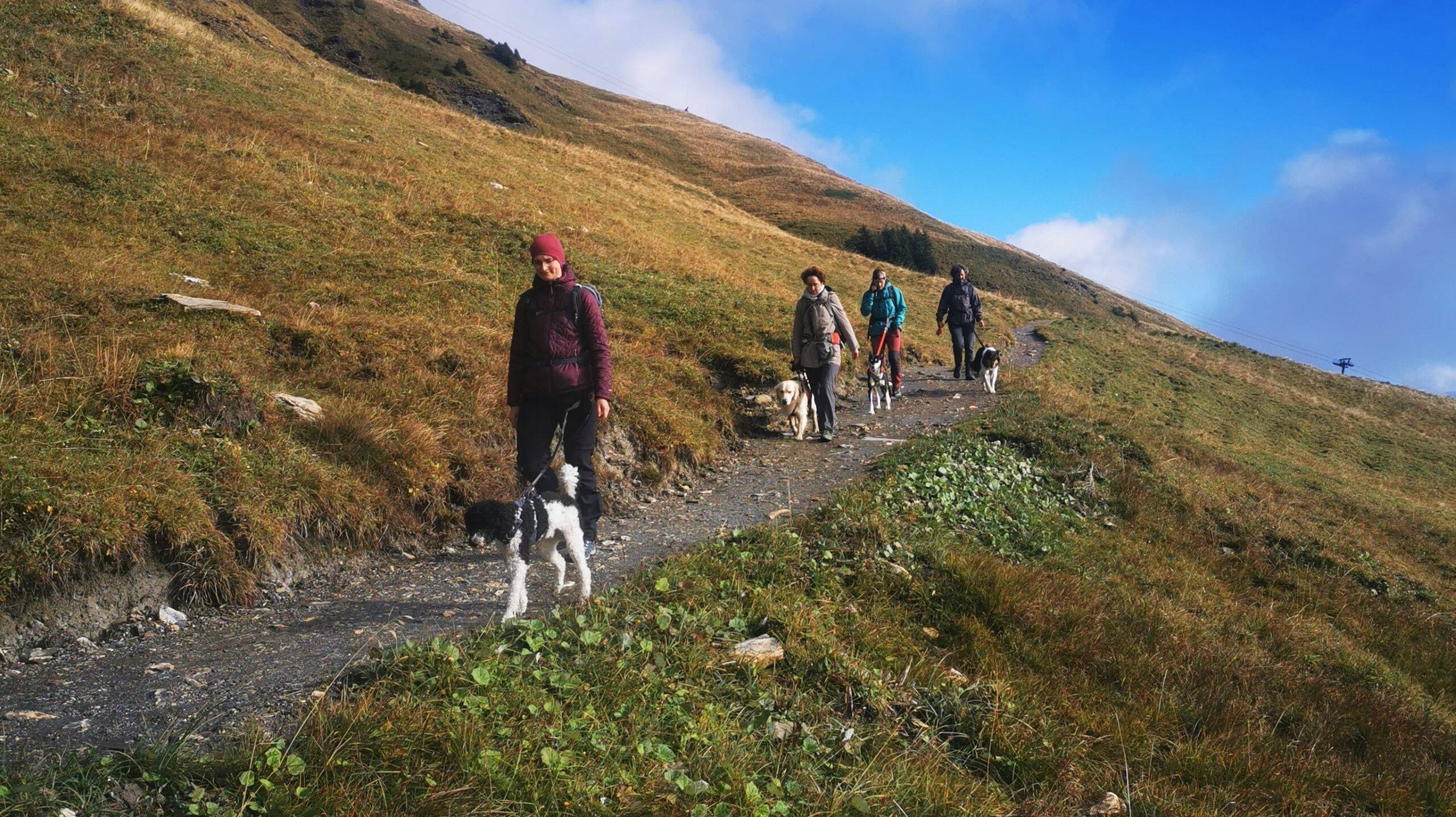 Alpinschule Bergfalke