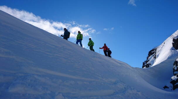 Alpinschule Bergfalke
