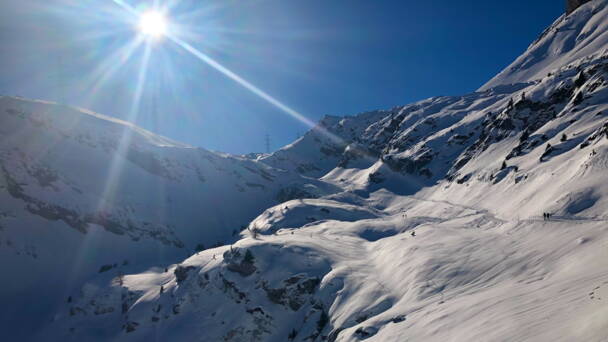 Alpinschule Bergfalke