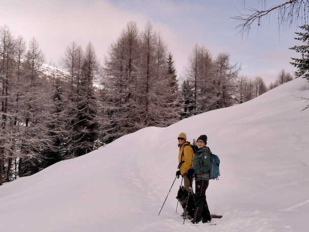 Alpinschule Bergfalke