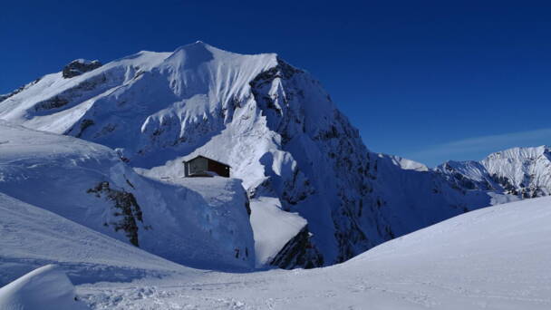 Alpinschule Bergfalke