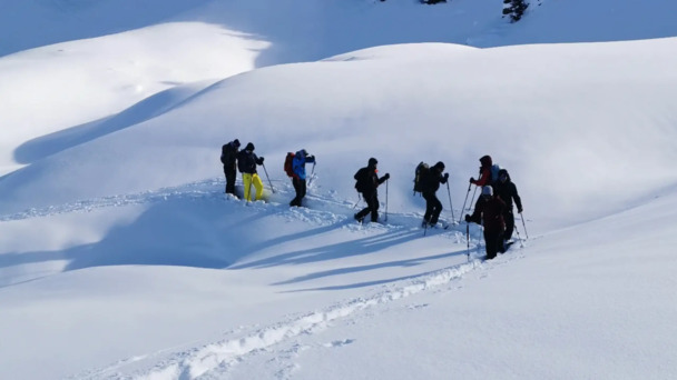 Alpinschule Bergfalke