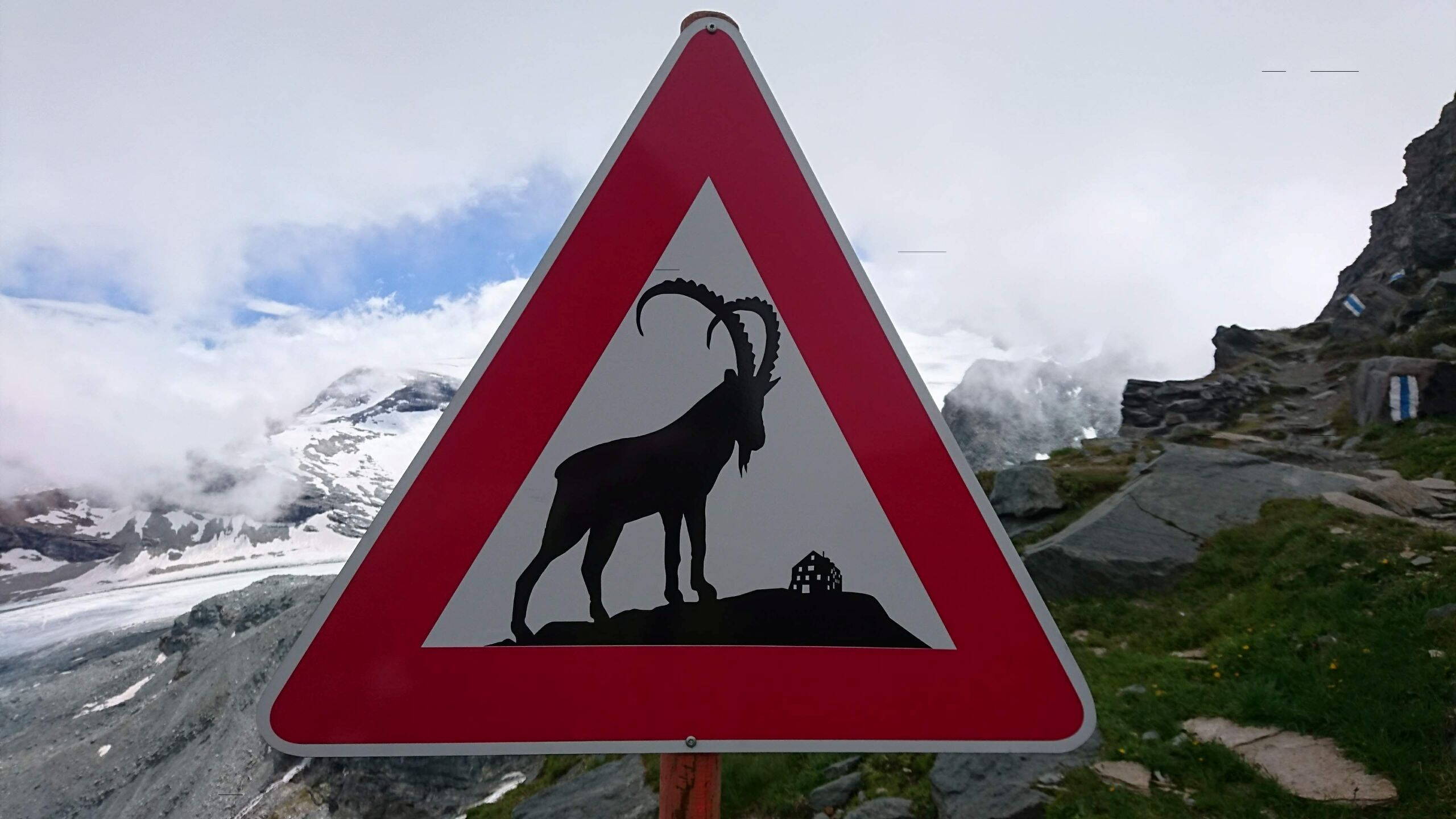 Alpinschule Bergfalke