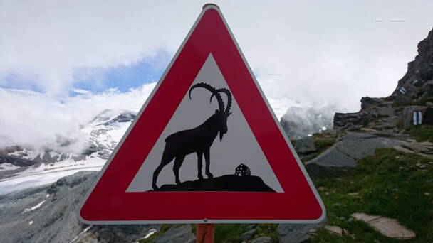 Alpinschule Bergfalke