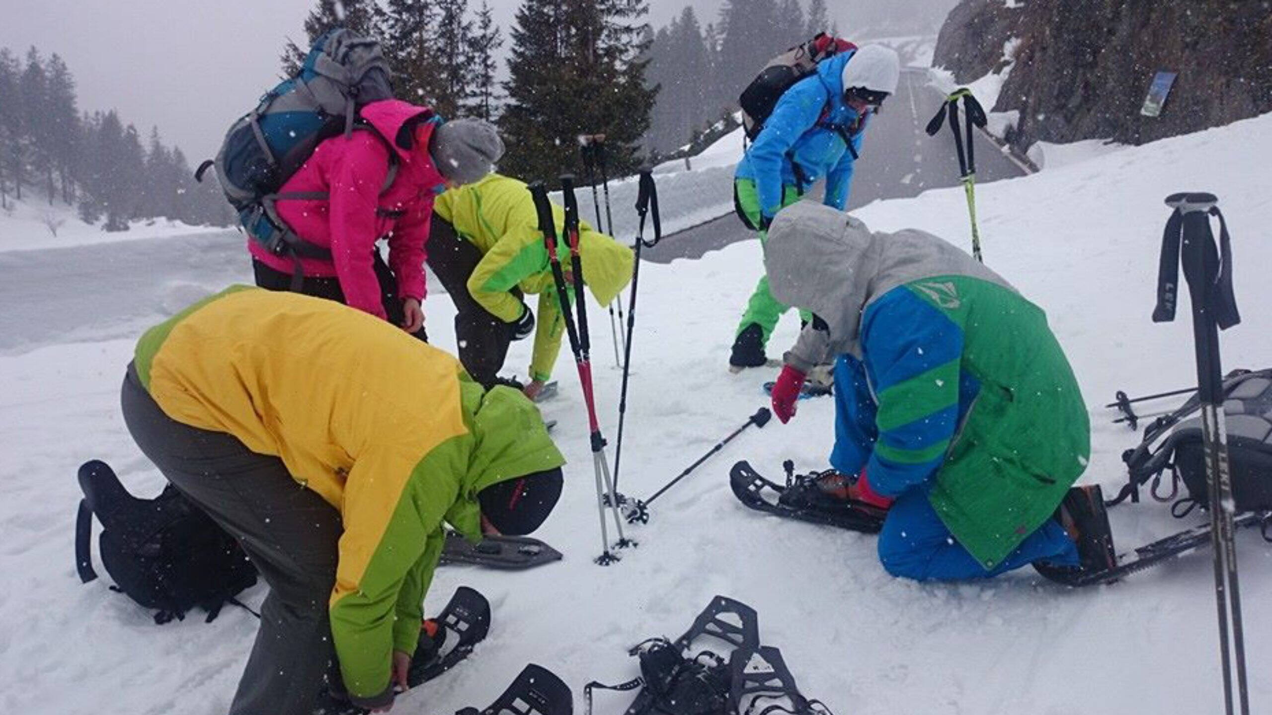 Alpinschule Bergfalke