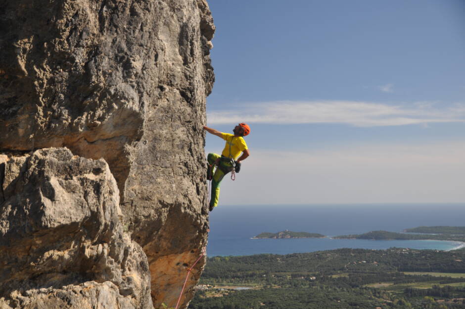 Alpinschule Bergfalke