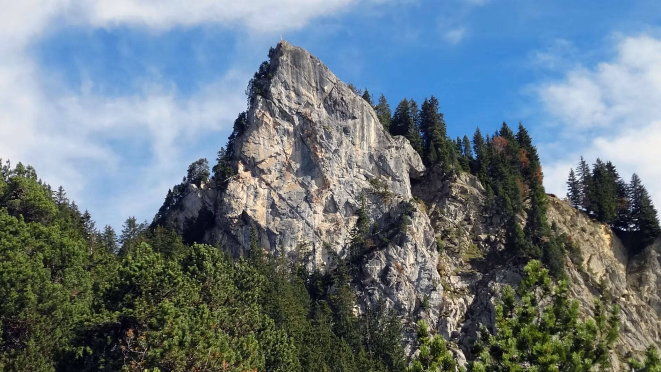 Alpinschule Bergfalke