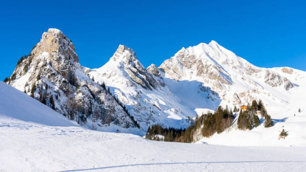 Alpinschule Bergfalke