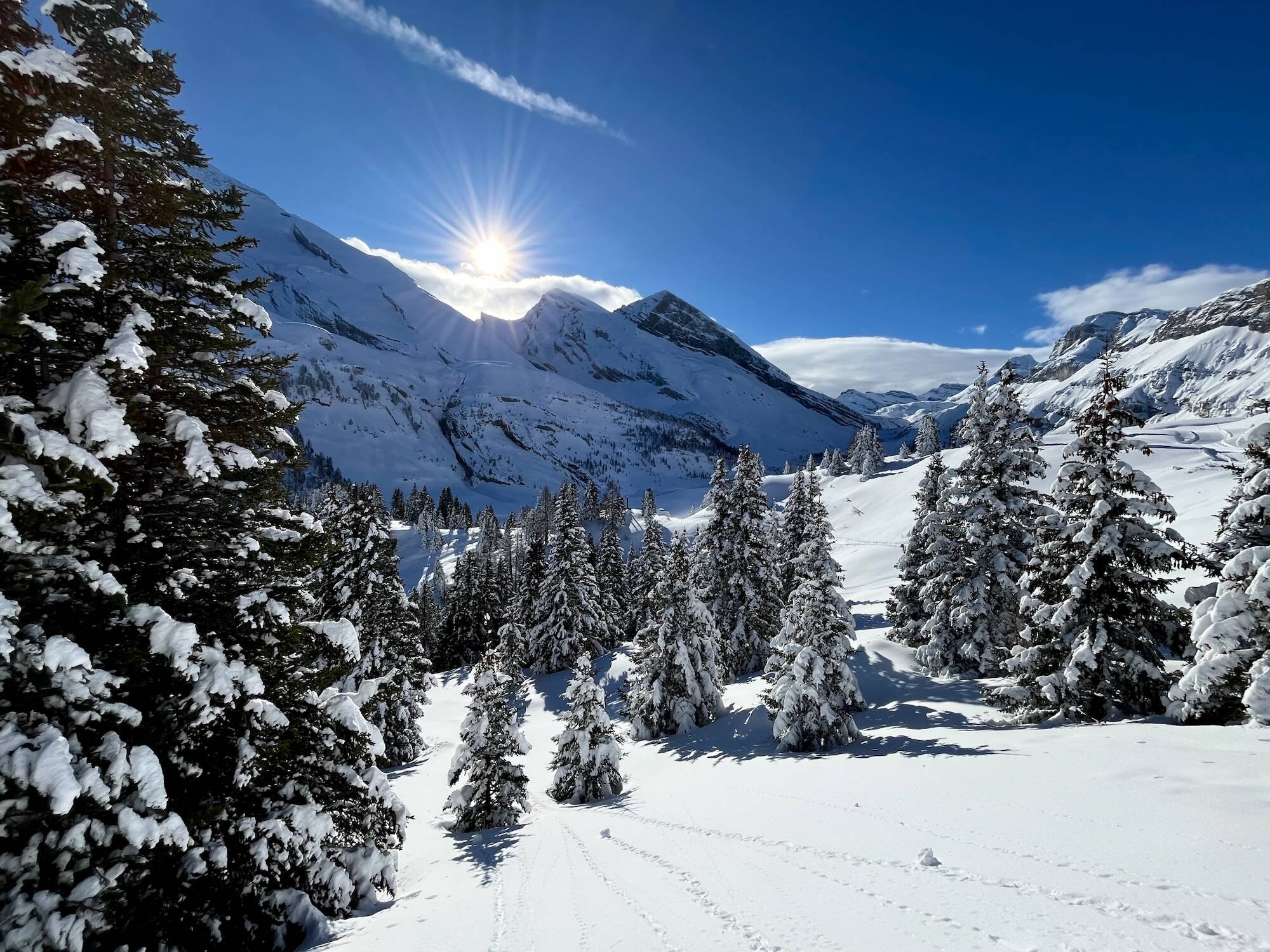 Alpinschule Bergfalke Alpinschule Bergfalke