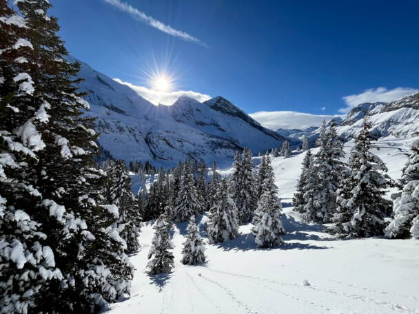 Alpinschule Bergfalke