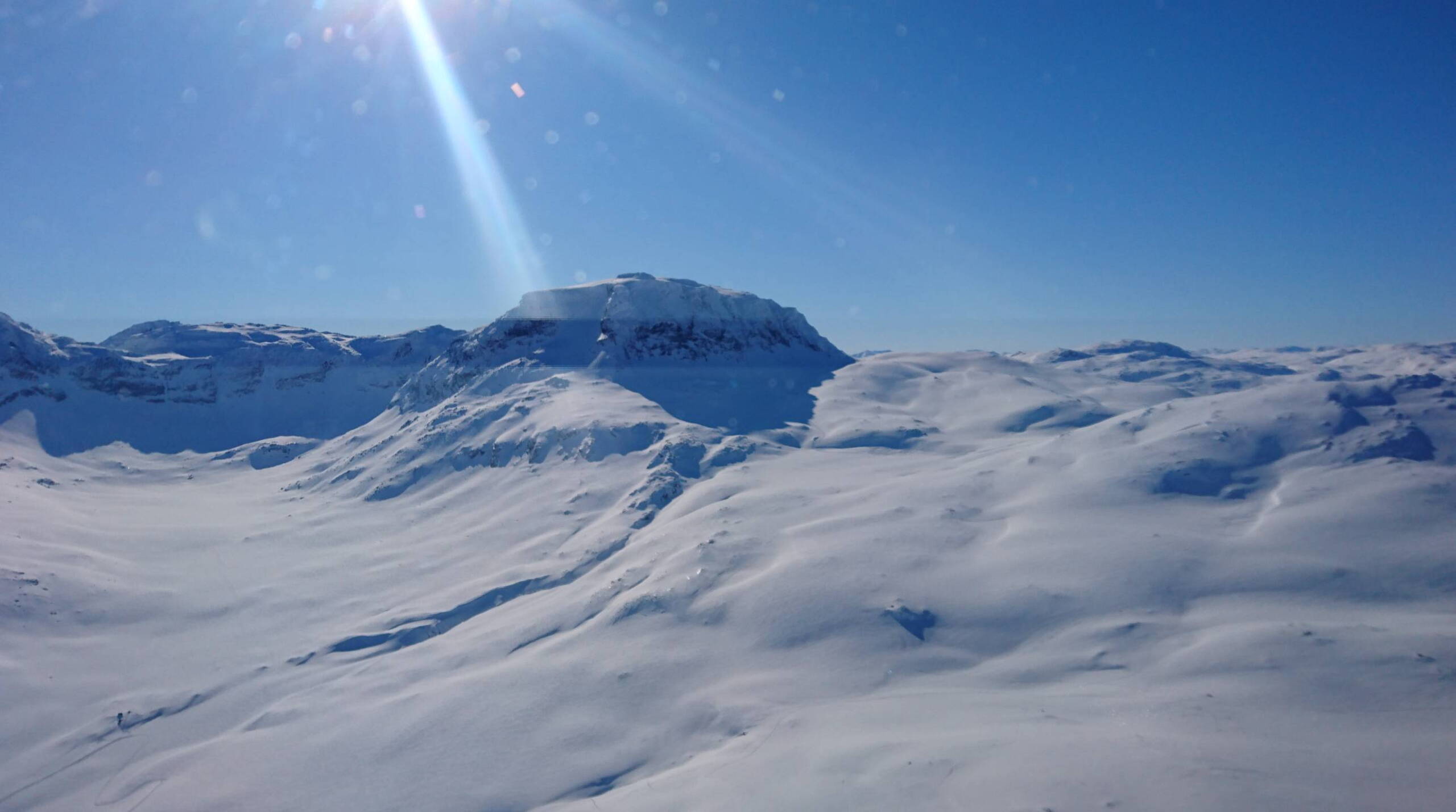 Alpinschule Bergfalke